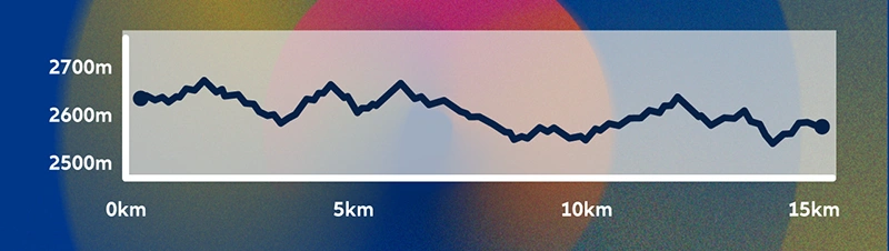 Altimetría del recorrido Allianz 15K Bogotá