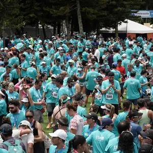 Allianz Carrera 15K