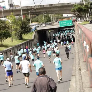 Allianz Carrera 15K